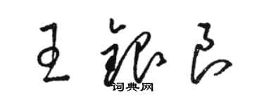 駱恆光王銀良草書個性簽名怎么寫