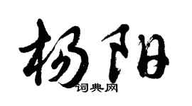 胡問遂楊陽行書個性簽名怎么寫
