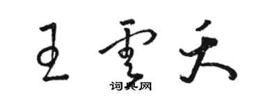 駱恆光王雲夭草書個性簽名怎么寫