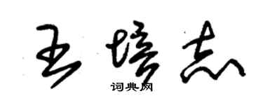 朱錫榮王培志草書個性簽名怎么寫