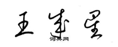 梁錦英王成星草書個性簽名怎么寫