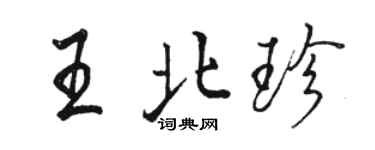 駱恆光王北珍行書個性簽名怎么寫