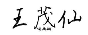 王正良王茂仙行書個性簽名怎么寫