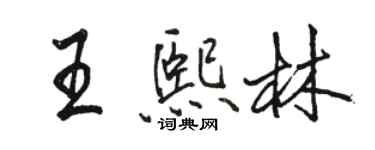 駱恆光王熙林行書個性簽名怎么寫