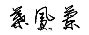 朱錫榮葉鳳蘭草書個性簽名怎么寫