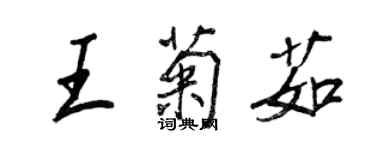 王正良王菊茹行書個性簽名怎么寫