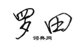 駱恆光羅田行書個性簽名怎么寫