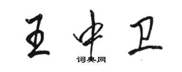 駱恆光王中衛行書個性簽名怎么寫