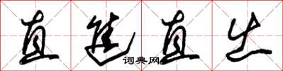 朱錫榮直進直出草書怎么寫
