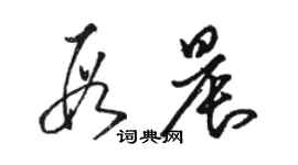 駱恆光段晨草書個性簽名怎么寫