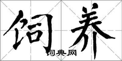 翁闓運飼養楷書怎么寫