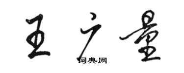 駱恆光王廣量行書個性簽名怎么寫