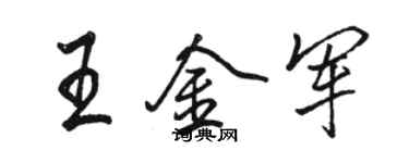 駱恆光王金軍行書個性簽名怎么寫