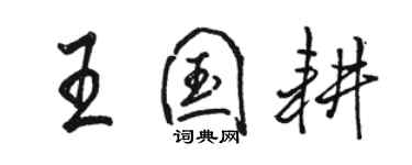 駱恆光王國耕行書個性簽名怎么寫