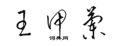 駱恆光王甲蘭草書個性簽名怎么寫