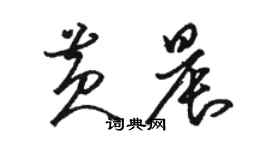 駱恆光黃晨草書個性簽名怎么寫