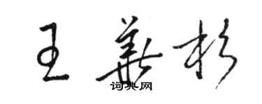 駱恆光王華杉草書個性簽名怎么寫