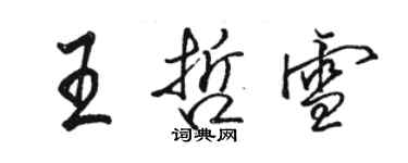 駱恆光王哲雪行書個性簽名怎么寫