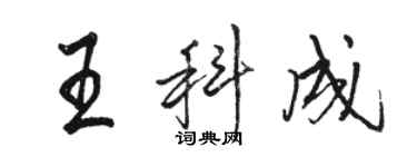 駱恆光王科成行書個性簽名怎么寫