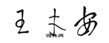 駱恆光王才安草書個性簽名怎么寫