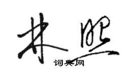 駱恆光林照草書個性簽名怎么寫