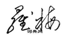 駱恆光羅梅草書個性簽名怎么寫