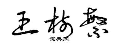 曾慶福王樹繁草書個性簽名怎么寫