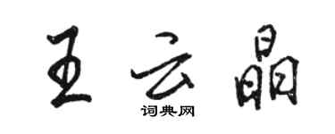 駱恆光王雲晶行書個性簽名怎么寫