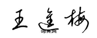 梁錦英王進梅草書個性簽名怎么寫