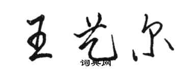 駱恆光王藝爾行書個性簽名怎么寫