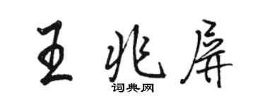 駱恆光王兆屏行書個性簽名怎么寫