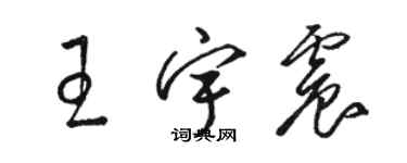 駱恆光王宇震草書個性簽名怎么寫