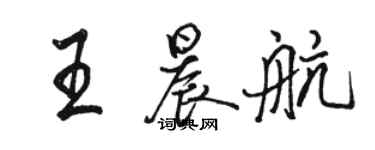 駱恆光王晨航行書個性簽名怎么寫