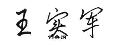 駱恆光王實軍行書個性簽名怎么寫