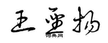 曾慶福王聖揚草書個性簽名怎么寫