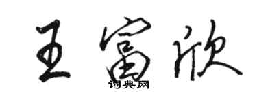 駱恆光王富欣行書個性簽名怎么寫