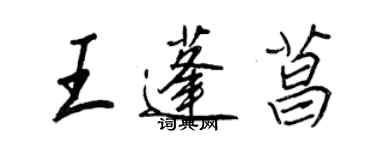 王正良王蓬菖行書個性簽名怎么寫