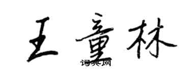 王正良王童林行書個性簽名怎么寫