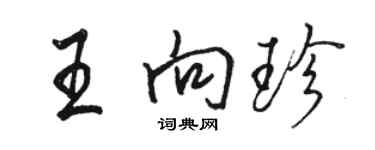 駱恆光王向珍行書個性簽名怎么寫