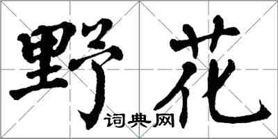翁闓運野花楷書怎么寫