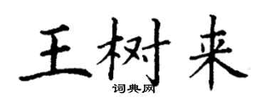 丁謙王樹來楷書個性簽名怎么寫
