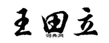 胡問遂王田立行書個性簽名怎么寫