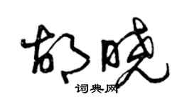 曾慶福胡曉草書個性簽名怎么寫