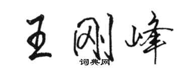 駱恆光王剛峰行書個性簽名怎么寫