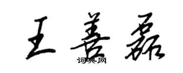 王正良王善磊行書個性簽名怎么寫