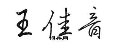 駱恆光王佳音行書個性簽名怎么寫