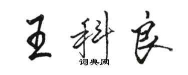 駱恆光王科良行書個性簽名怎么寫