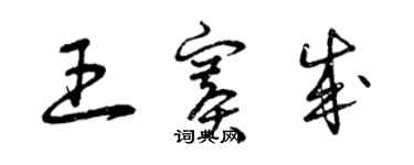 曾慶福王賽成草書個性簽名怎么寫