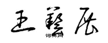 曾慶福王藝展草書個性簽名怎么寫
