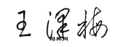 駱恆光王澤梅草書個性簽名怎么寫